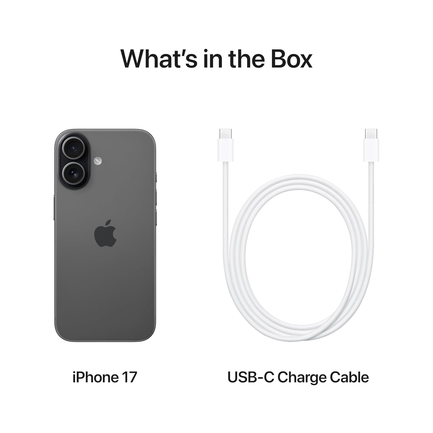 Apple iPhone 17 256 GB: 15.93 cm (6.3″) Display with Promotion, A19 Chip, Center Stage Front Camera for Smarter Group Selfies, Improved Scratch Resistance, All-Day Battery Life, (Lavender | Sage | Mist Blue | White | Black) - Image 6