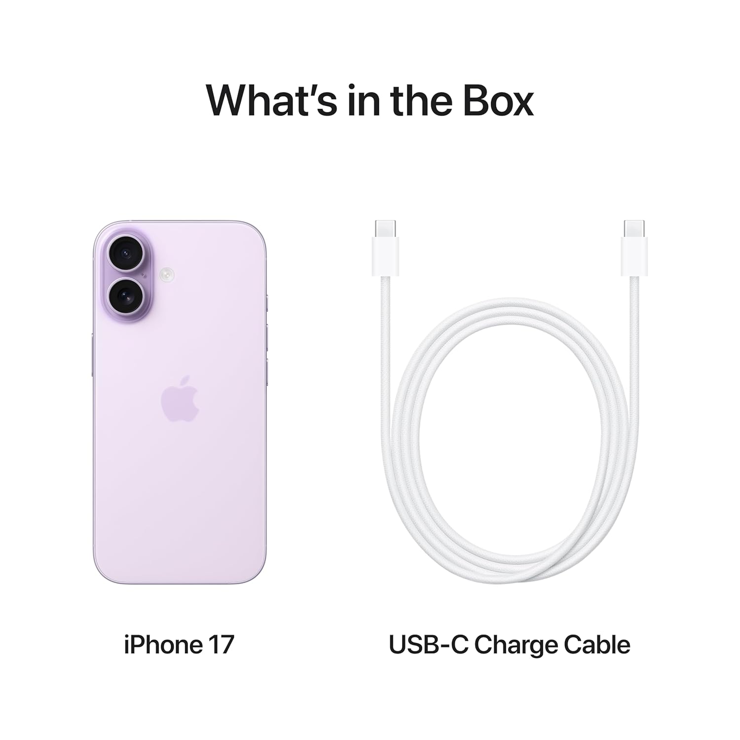 Apple iPhone 17 256 GB: 15.93 cm (6.3″) Display with Promotion, A19 Chip, Center Stage Front Camera for Smarter Group Selfies, Improved Scratch Resistance, All-Day Battery Life, (Lavender | Sage | Mist Blue | White | Black) - Image 5