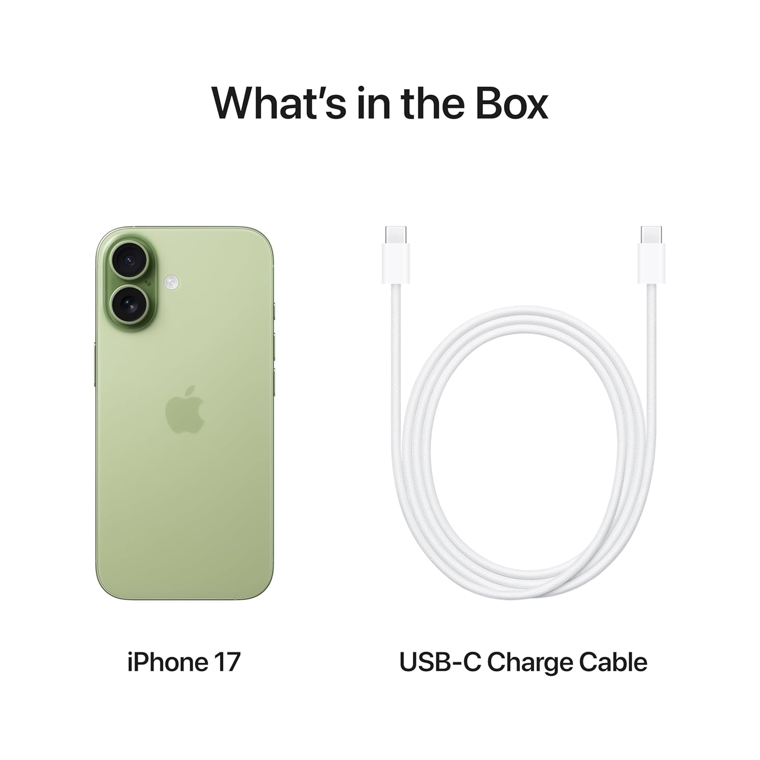 Apple iPhone 17 256 GB: 15.93 cm (6.3″) Display with Promotion, A19 Chip, Center Stage Front Camera for Smarter Group Selfies, Improved Scratch Resistance, All-Day Battery Life, (Lavender | Sage | Mist Blue | White | Black) - Image 8